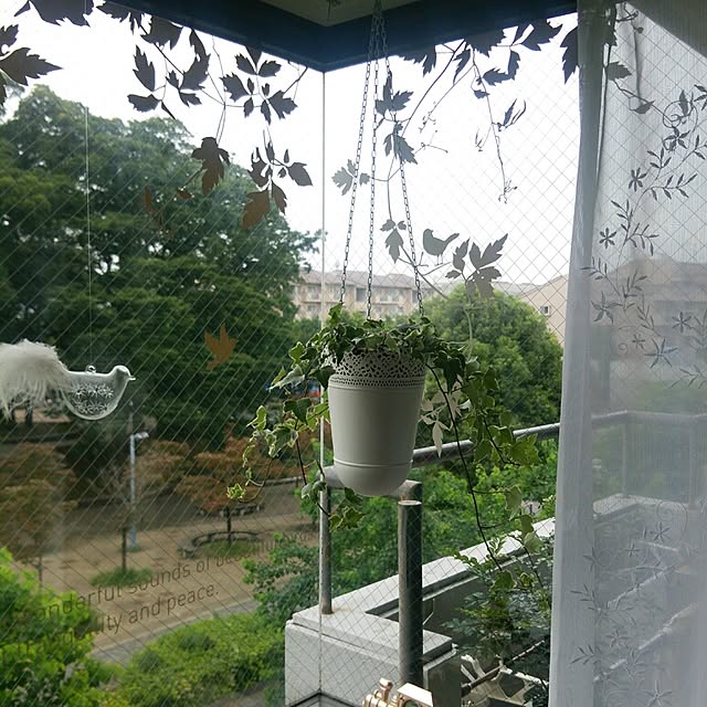 chiさんの実例写真