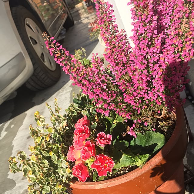 cocco0505さんの実例写真