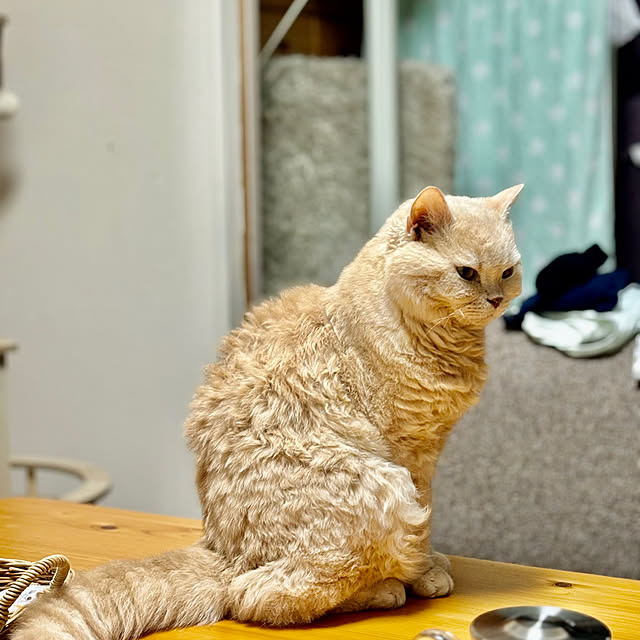 naokoさんの部屋