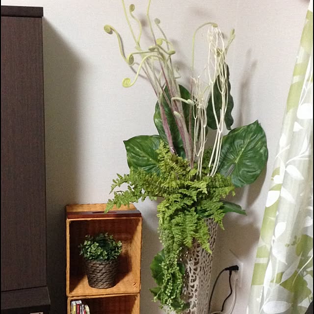実例写真