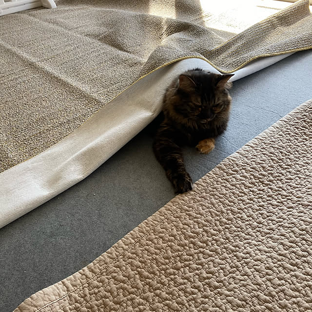 mikomaruさんの実例写真