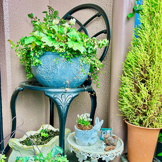 naokoさんの部屋