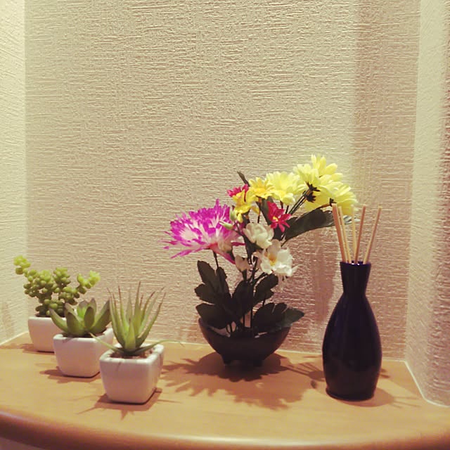 okinawmensoreさんの実例写真