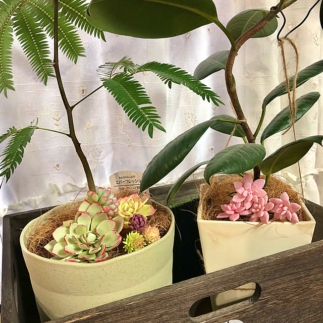 CoffeeHouseさんの実例写真