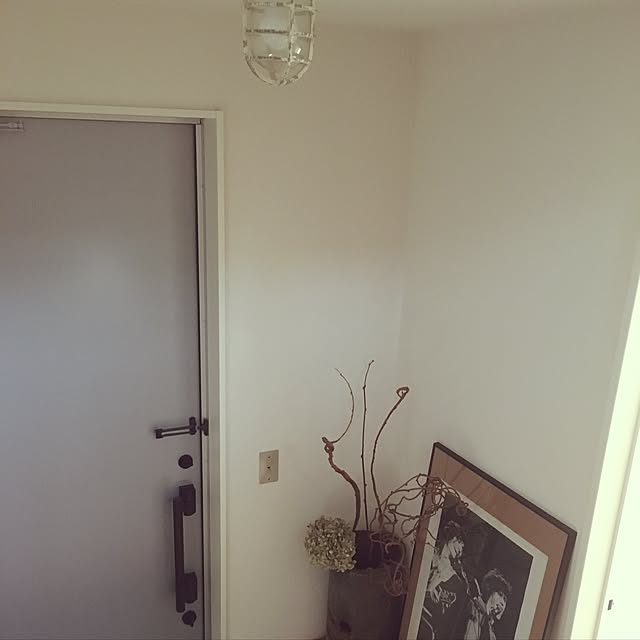 necodakakarichoさんの実例写真