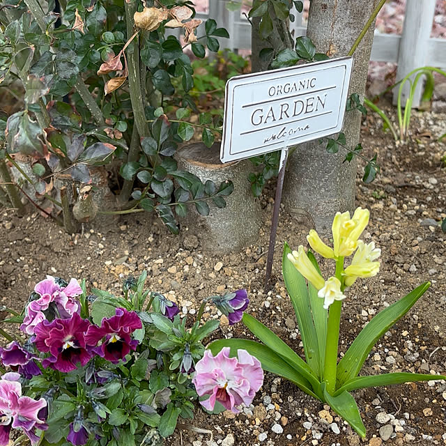 miyu39さんの部屋