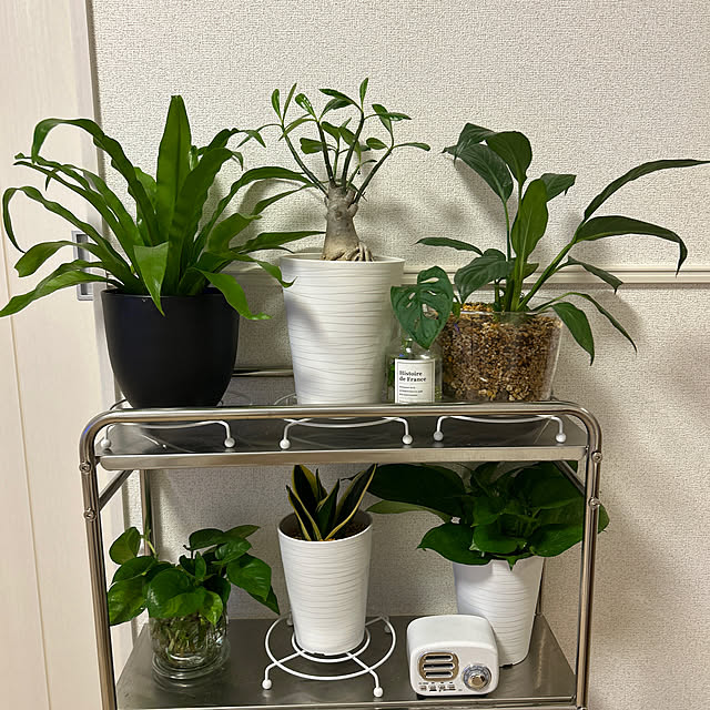 kuさんの実例写真