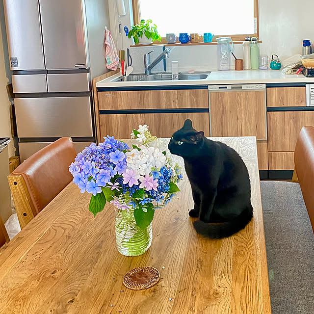iiiyocoiiiさんの部屋