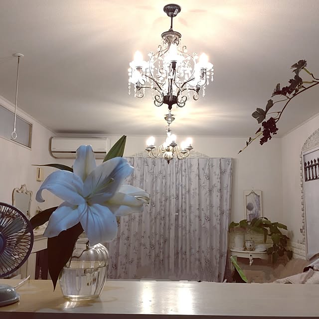 Bienvenueさんの部屋