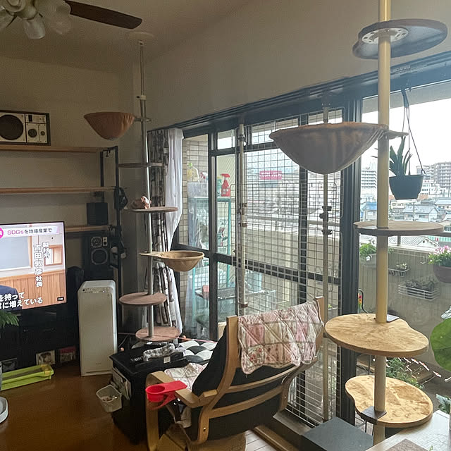 nekohagu2022さんの実例写真