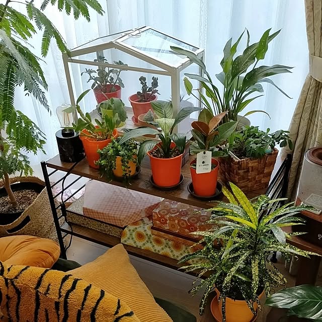 funnyfaceさんの部屋