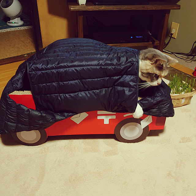 fukuさんの実例写真