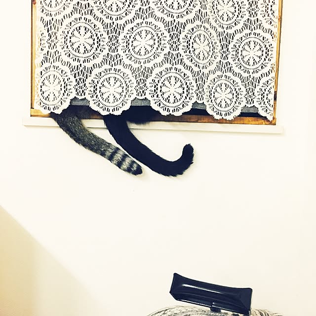 IGGYさんの実例写真