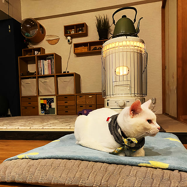 hanaさんの実例写真