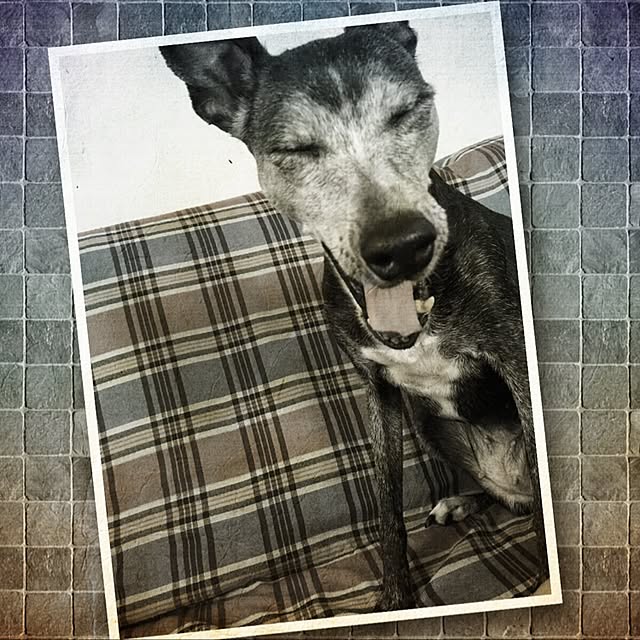 70さんの実例写真