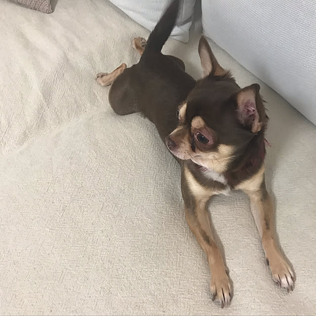namiheeeeyさんの実例写真