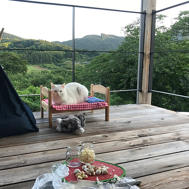 sakurasakuさんの実例写真