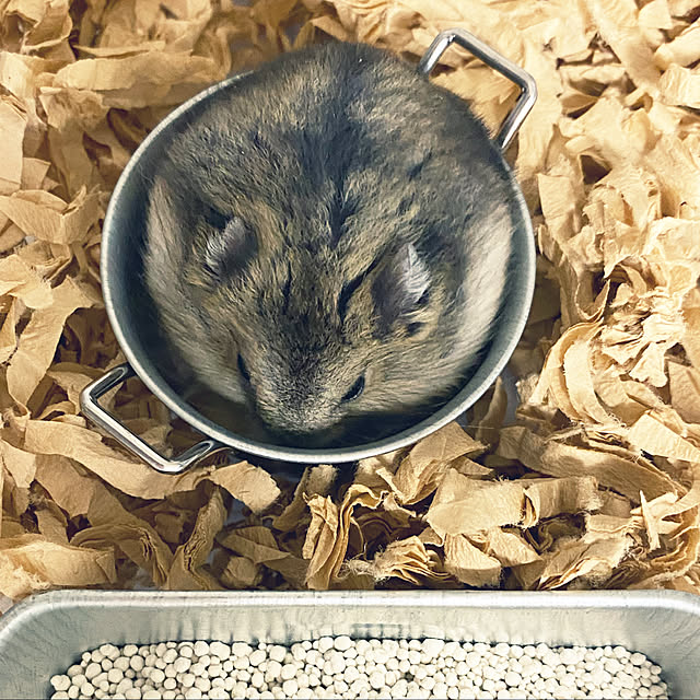 ohanaさんの実例写真