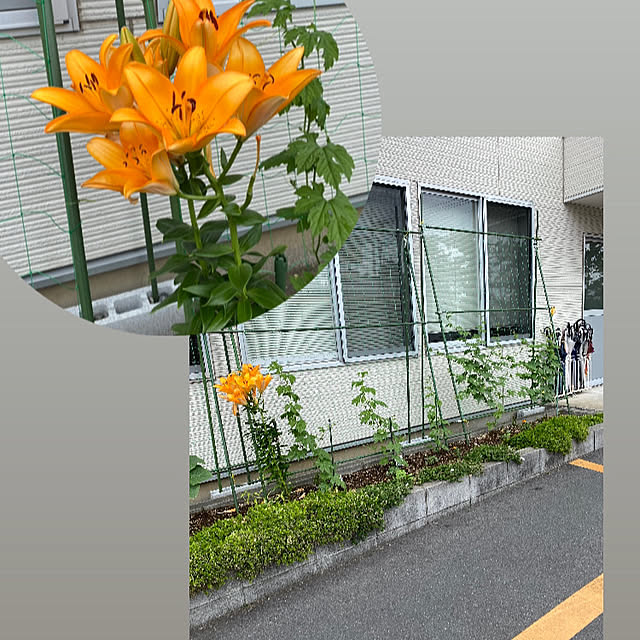 YuuKoさんの実例写真