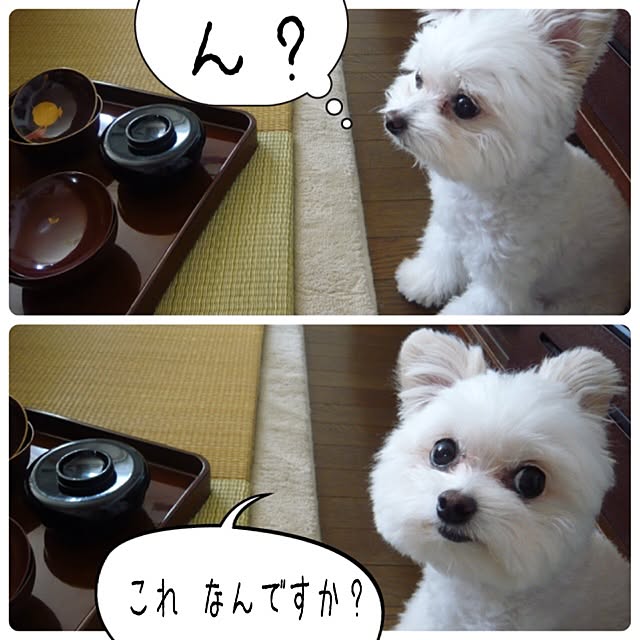 ksyanさんの実例写真