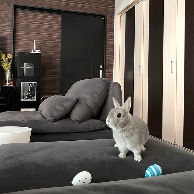 kuruさんの実例写真