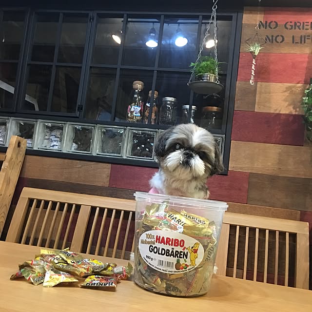 ANNAさんの実例写真