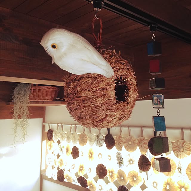 sonoさんの実例写真