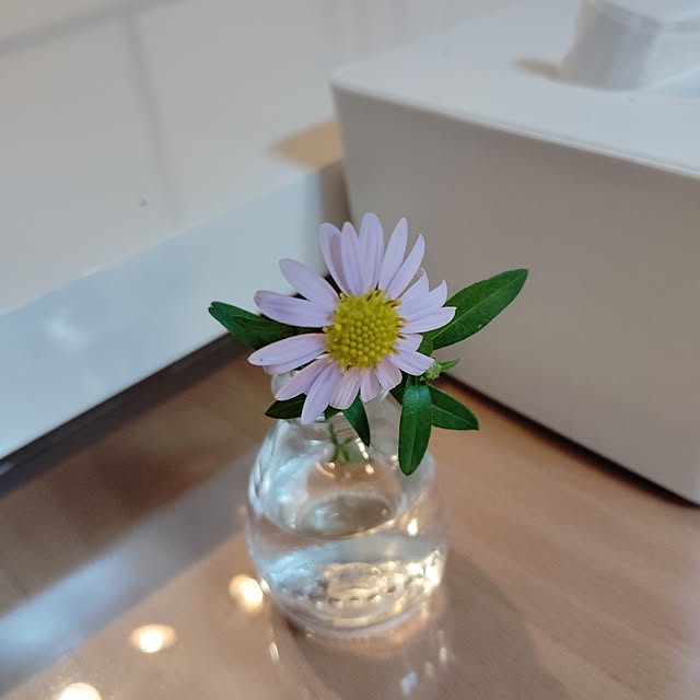 amikiさんの実例写真