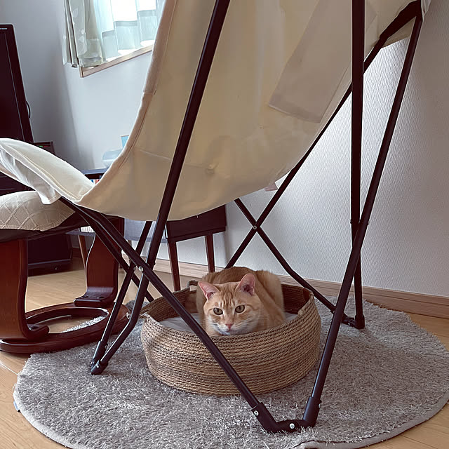 chiiさんの部屋