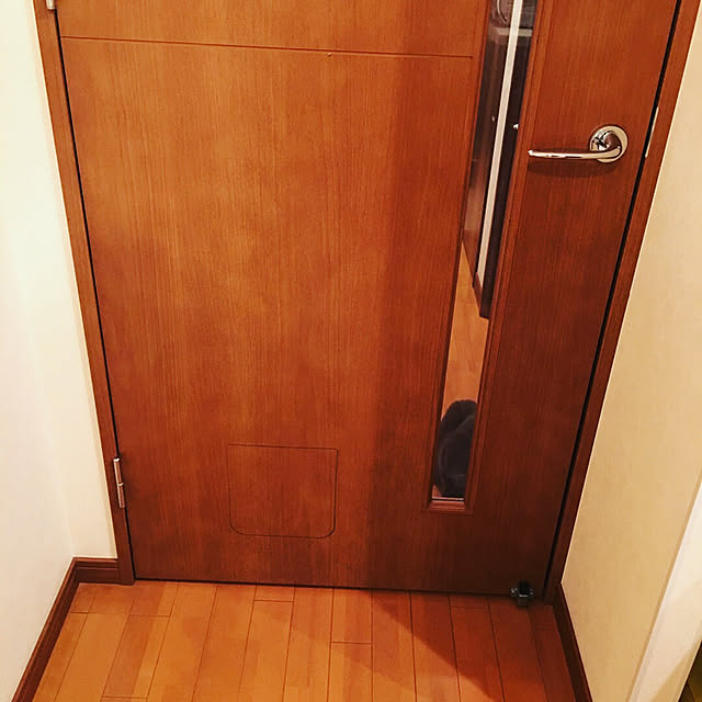 Shojiさんの実例写真
