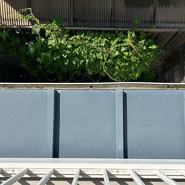 fumikoiさんの部屋