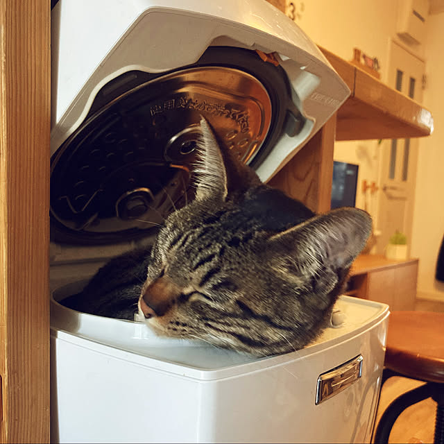masamasaさんの実例写真