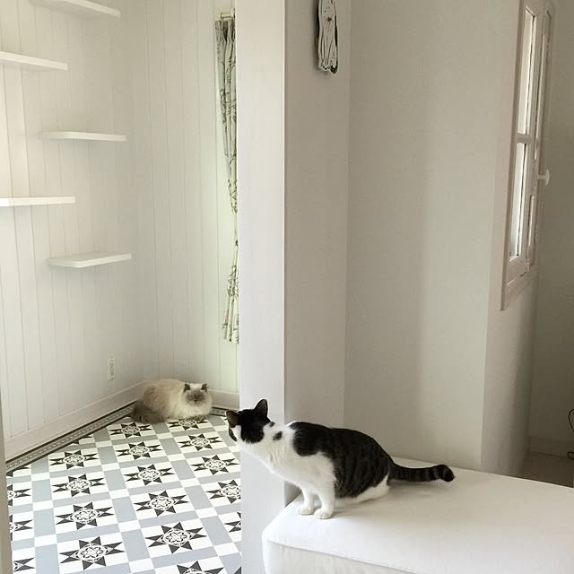 yuchiさんの実例写真