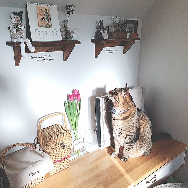 lovecatさんの実例写真