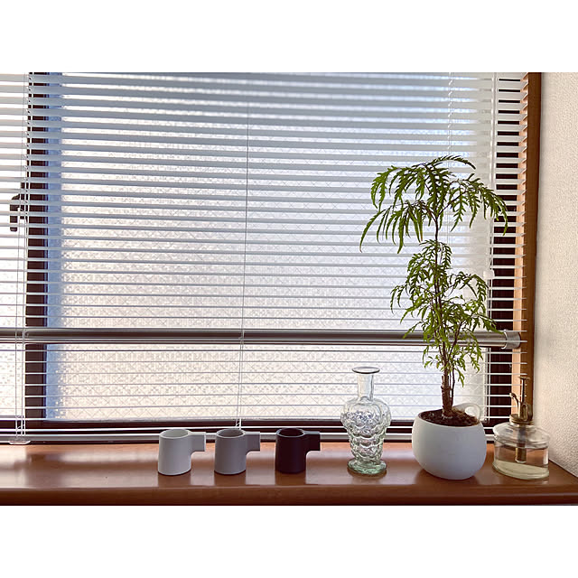 tomokamotoさんの実例写真