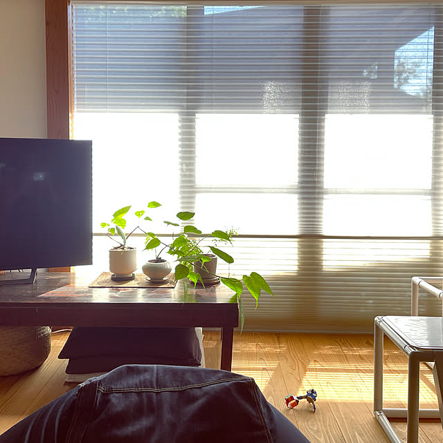 marucoさんの実例写真
