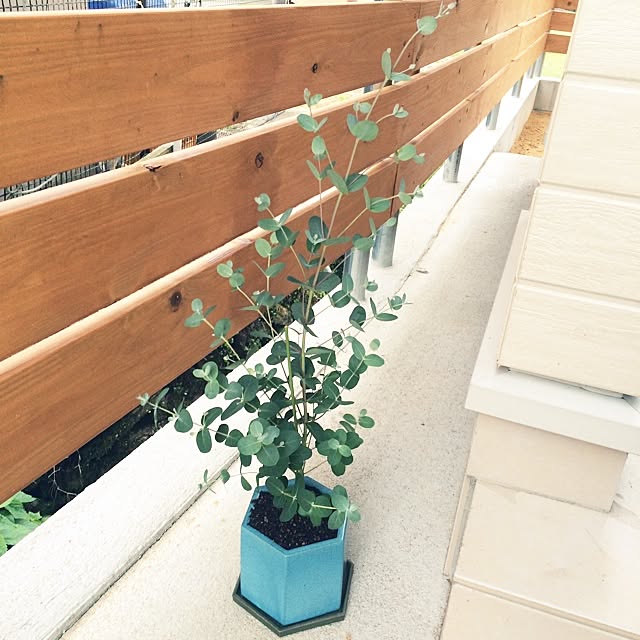 Ryokoさんの実例写真