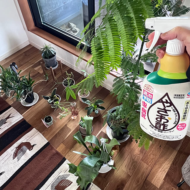 pokowheeさんの部屋