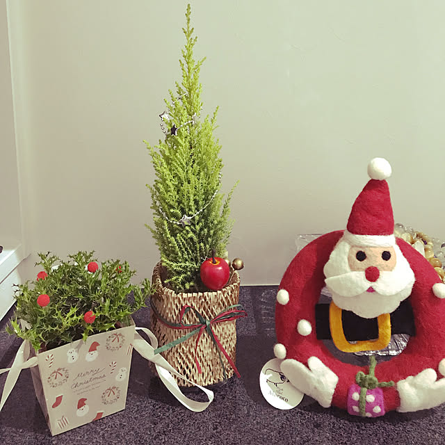 コニファー クリスマス飾りのおしゃれなアレンジ・飾り方の コニファー クリスマス飾りのおしゃれなアレンジ・飾り方の