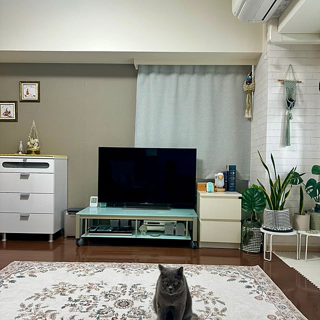 kittyさんの部屋