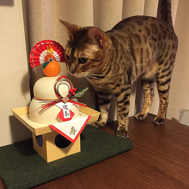 dek0riさんの実例写真