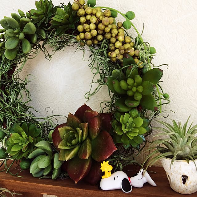 棚/ハンドメイド/フェイクグリーン/多肉植物/100均のインテリア実例 - 2016-10-12 12:00:48