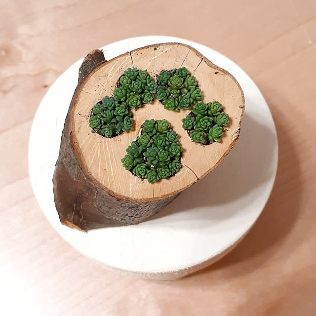 amtさんの実例写真