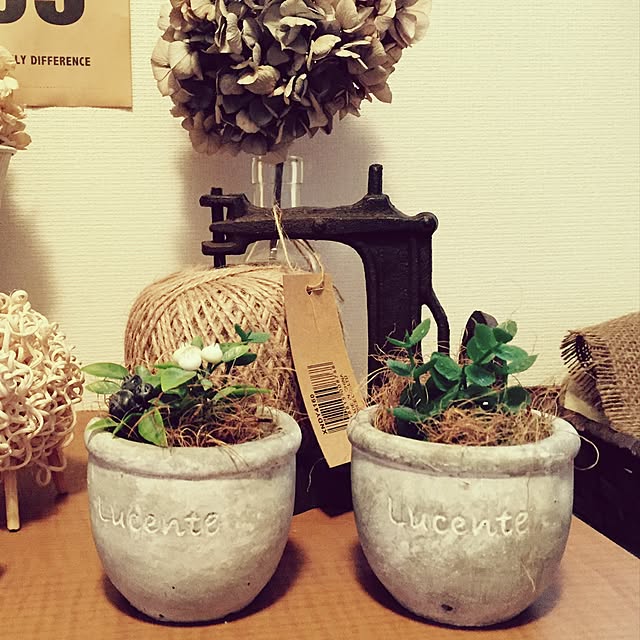 Mikaさんの実例写真