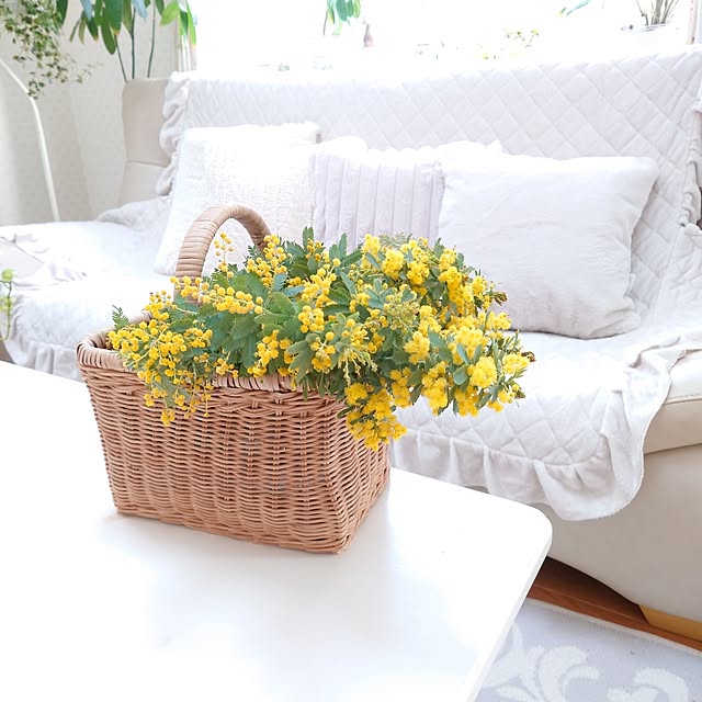 fleur-mamanさんの部屋