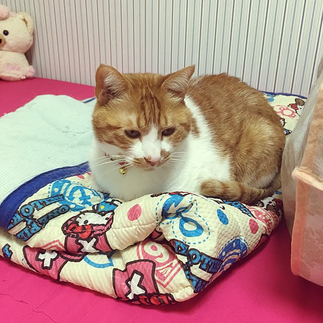 nyanyakoさんの実例写真