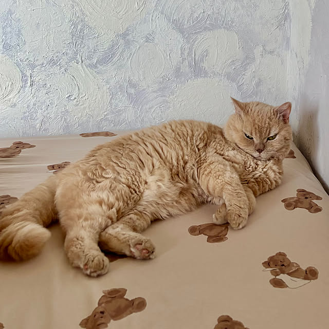 naokoさんの実例写真