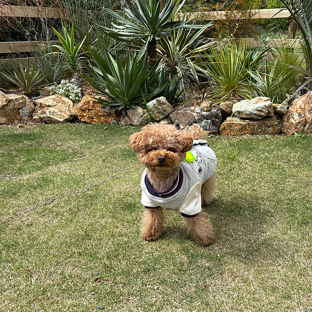 bonber0212さんの実例写真