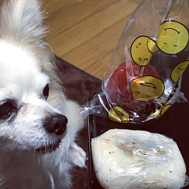 seroriさんの実例写真