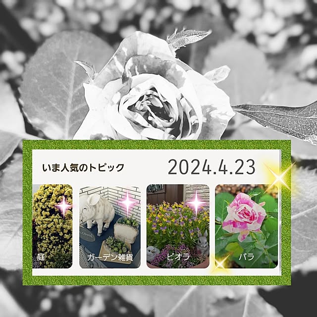 love1017さんの実例写真